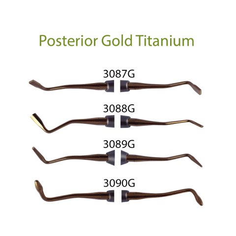 Posterior Gold Composite Instruments